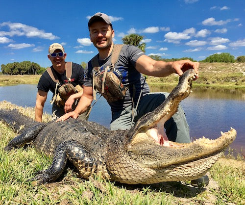 Two men posing with a large alligator by a body of water.